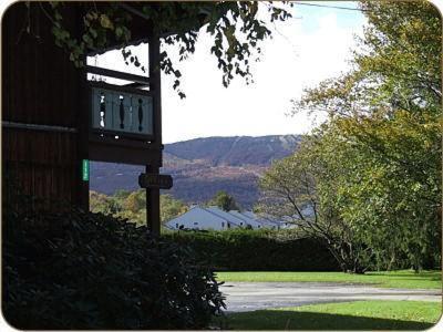Timber Inn Motel Ludlow Bagian luar foto